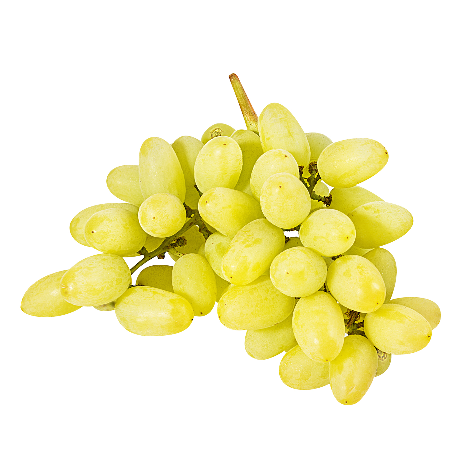 Uva senza semi