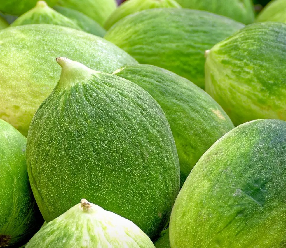 Cetrioli Barattini