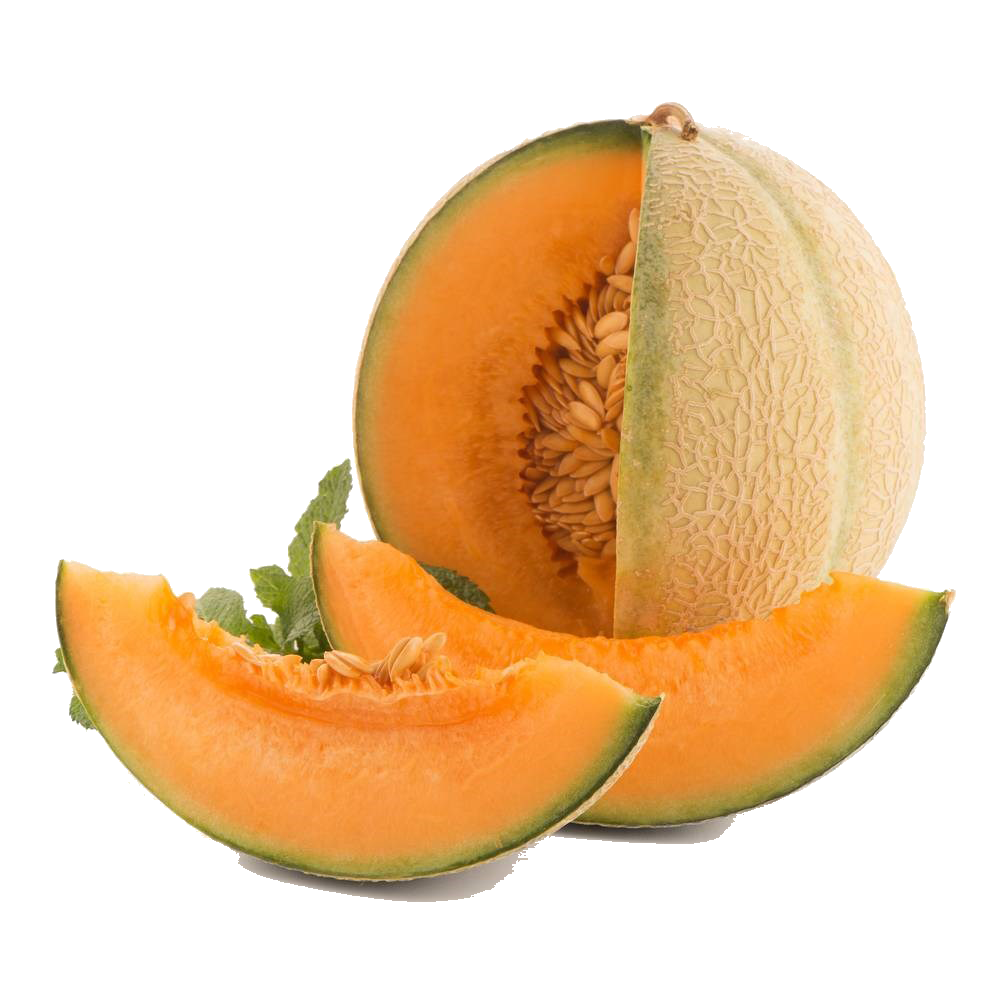Melone Cantalupo