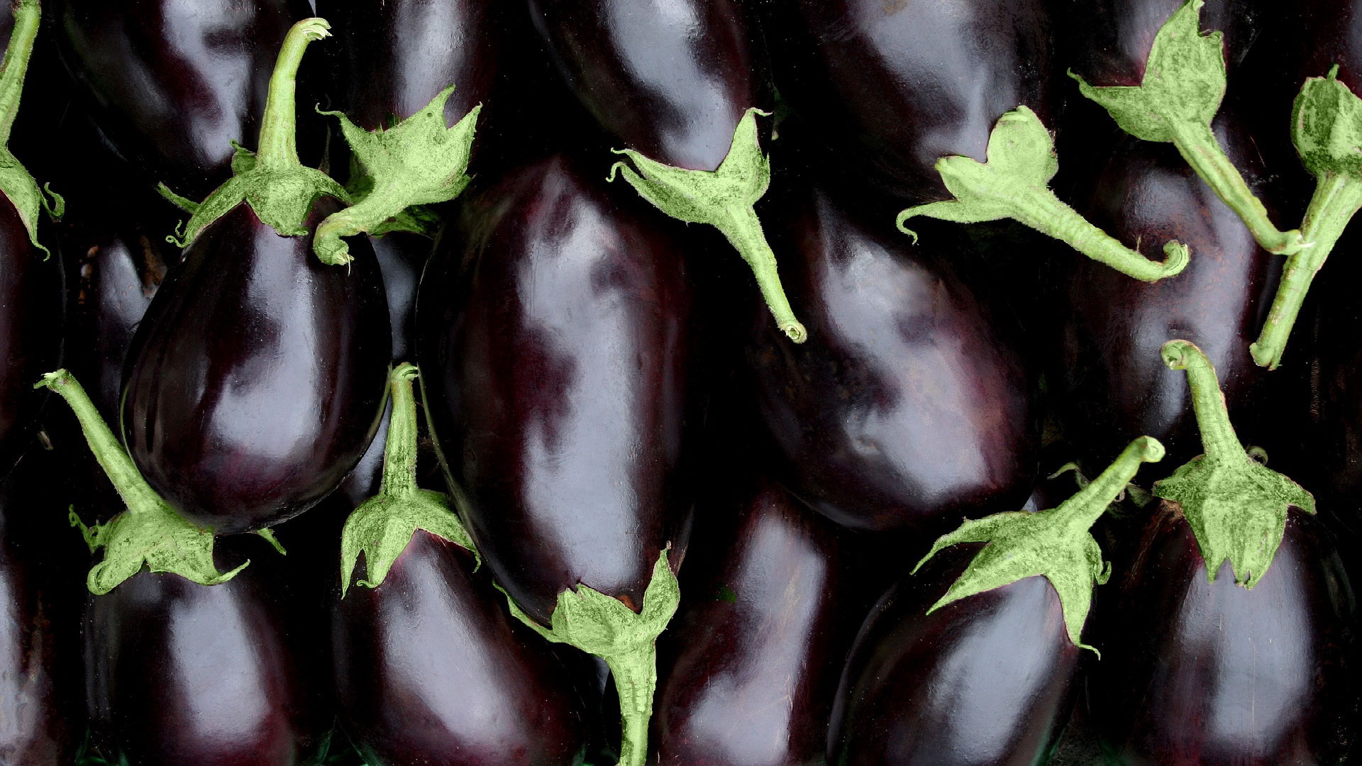 Melanzane