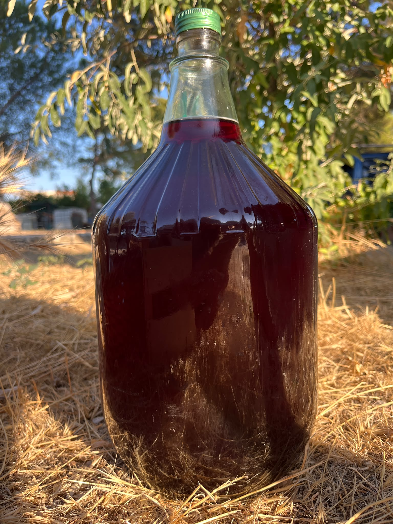 Vino Rosso, Rosè, Bianco, latta da 3l