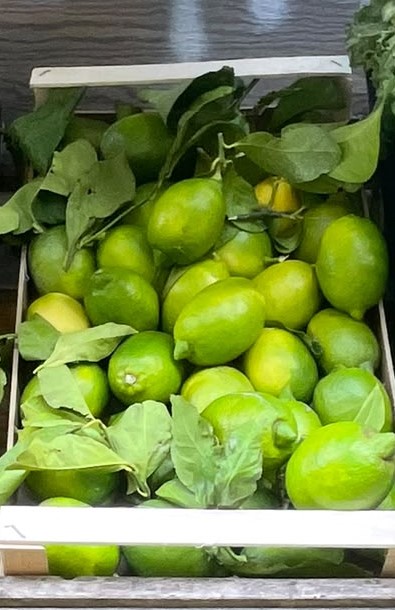 Limoni