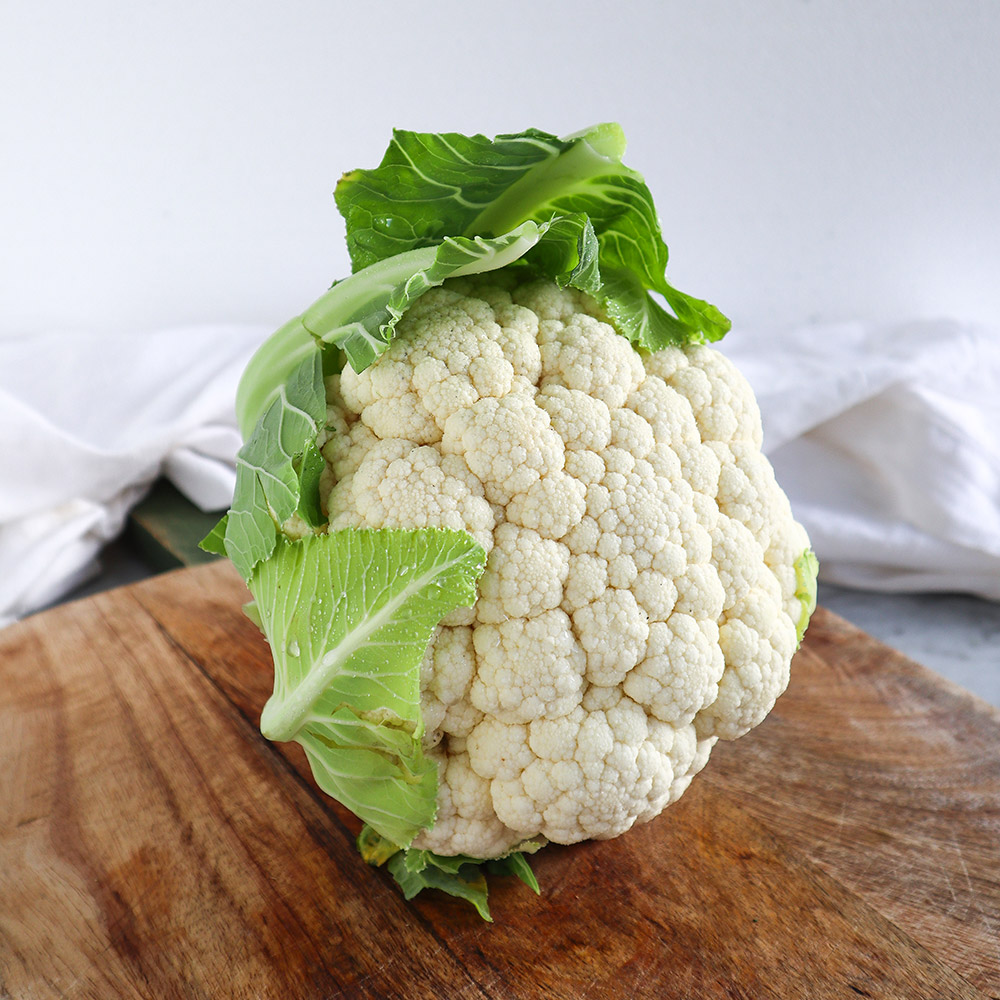 Cavolo bianco